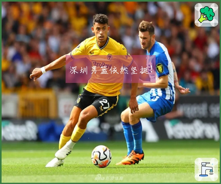 深圳男篮依然坚挺！